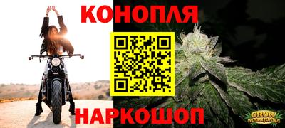МДПВ Можайск
