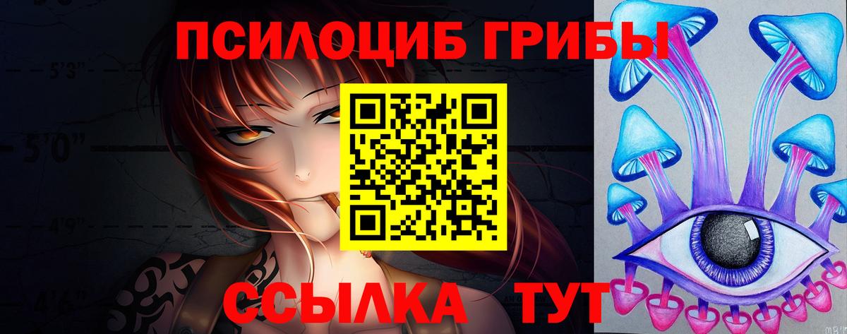 Псилоцибиновые грибы GOLDEN TEACHER  Вход с VPN  Хасавюрт 